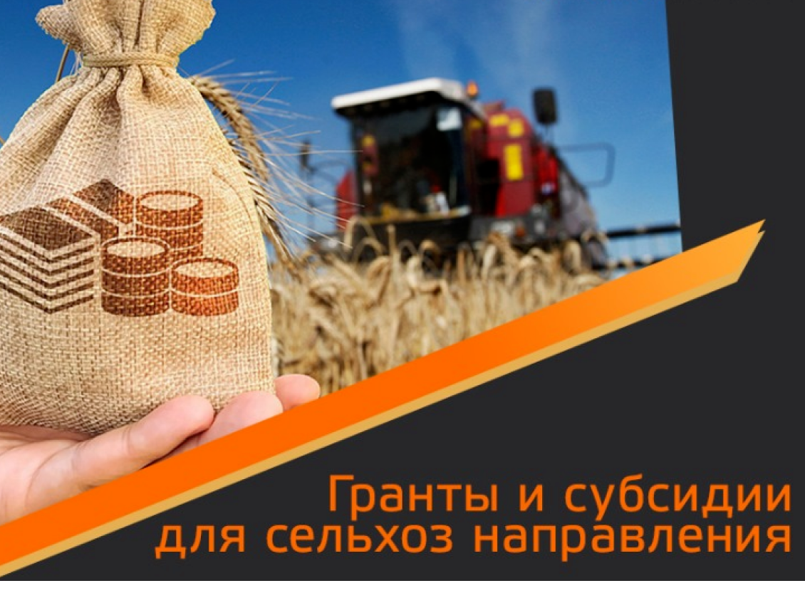 О проведении конкурса по отбору заявителей для предоставления грантов из областного бюджета на развитие фермерских хозяйств.